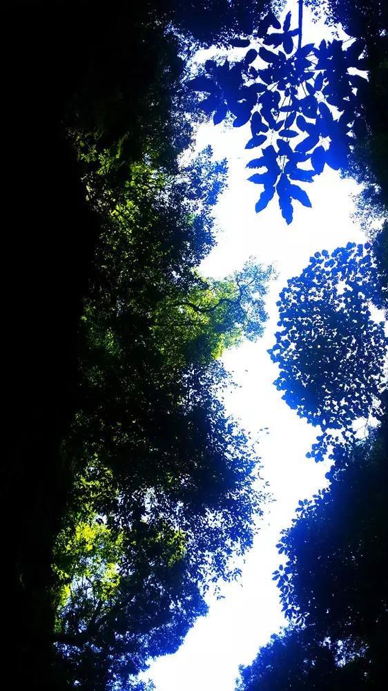 僵尸吃怪物